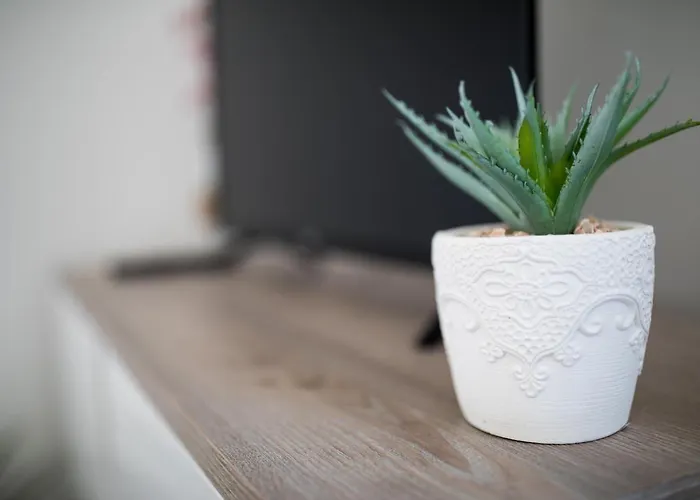 Διαμέρισμα Moonlight *