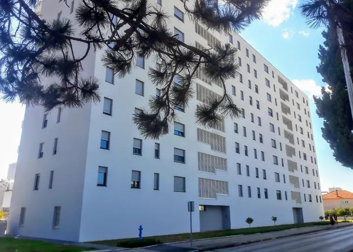 Moonlight * Ζαντάρ